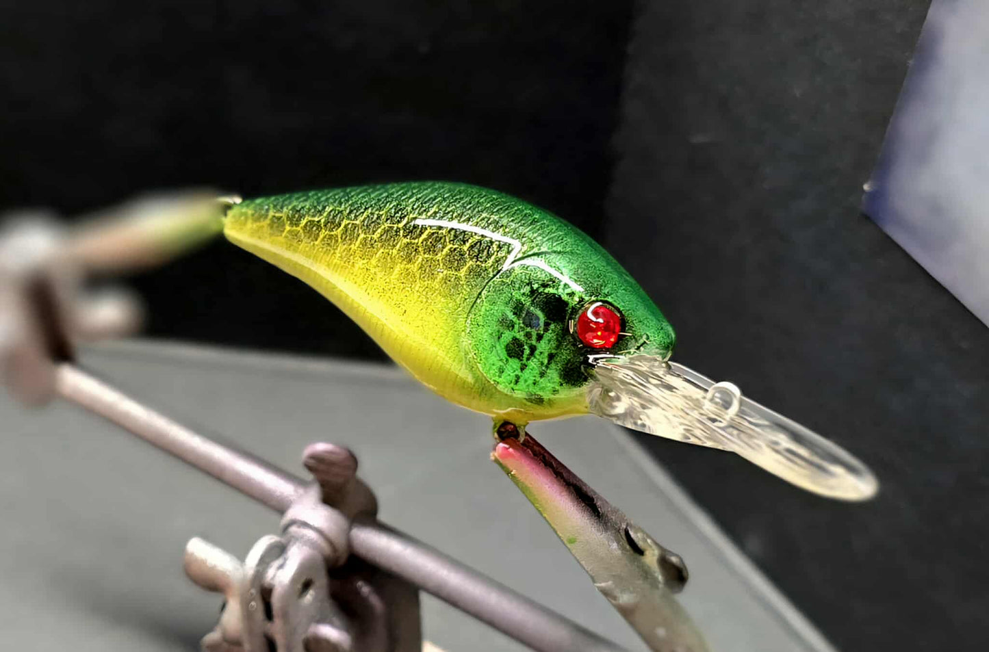 1.5 Carolina Shad DD Crank