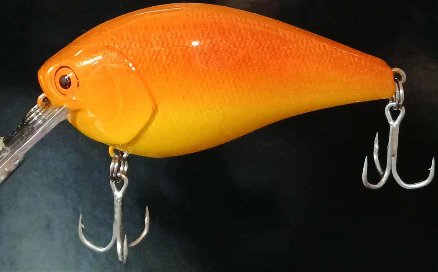 2.5 Gold Fish