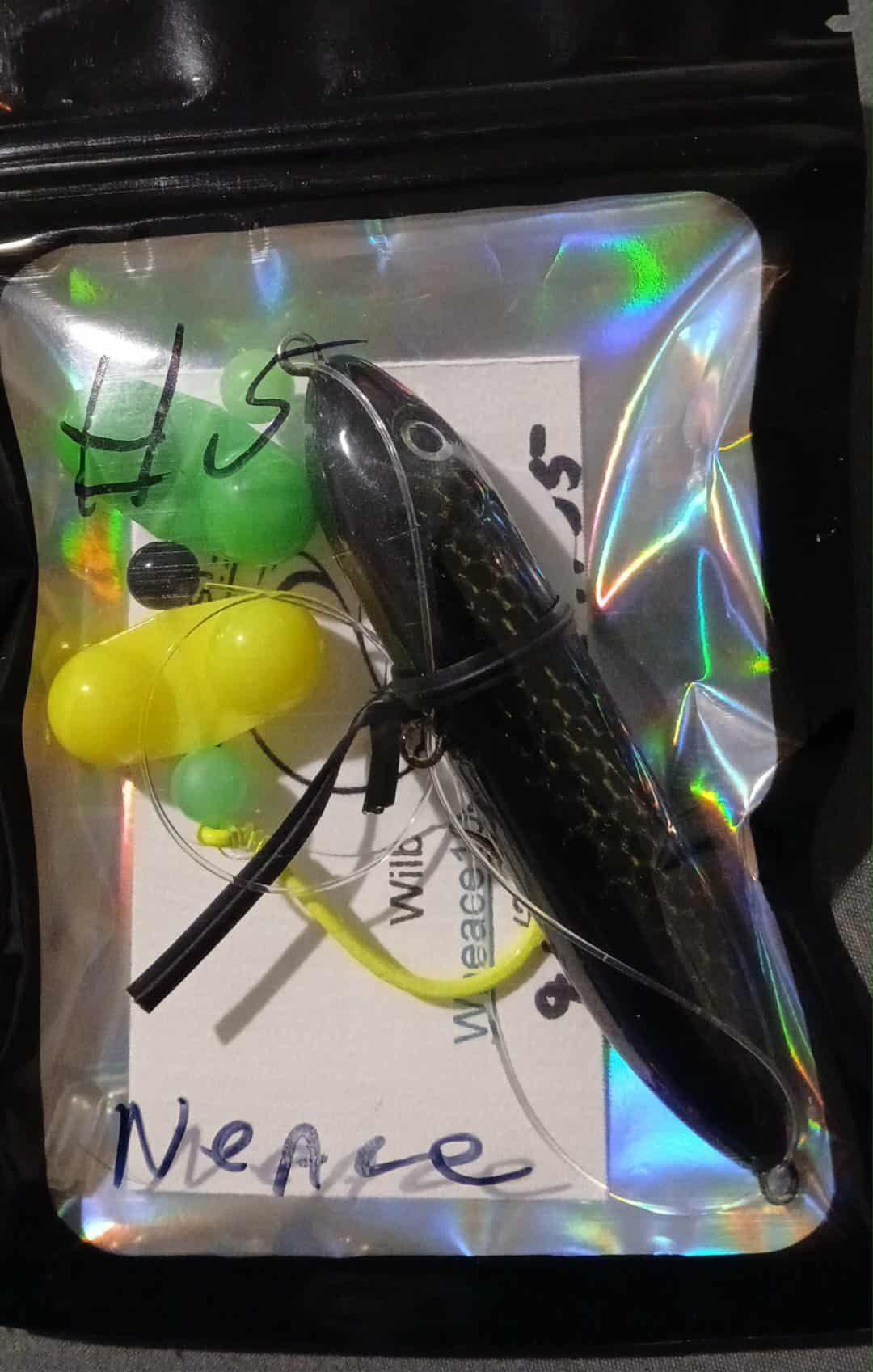 Catfish Rigs #5 Hook