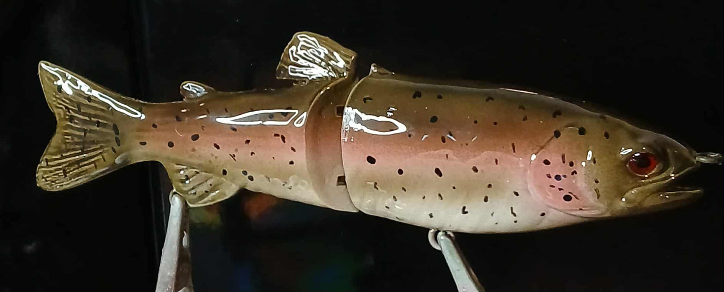 Rainbow Trout Glide