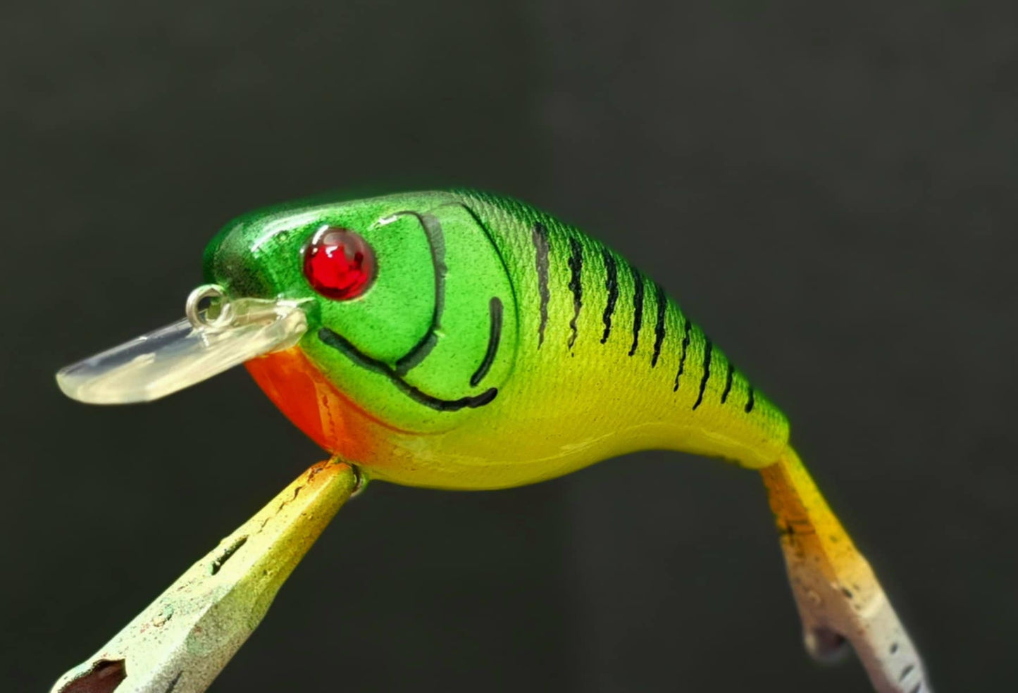 2.5 Fire Frog Crank Bait