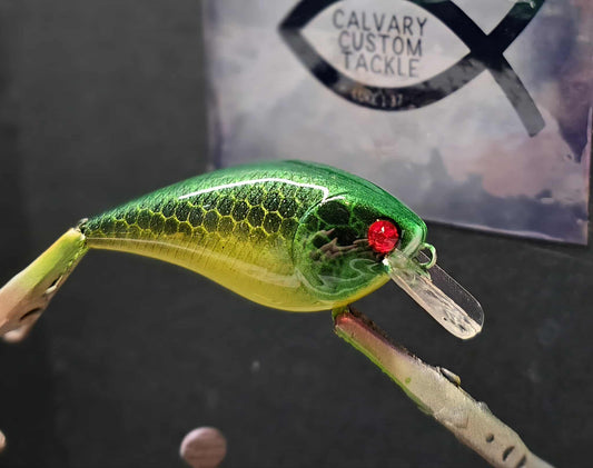 1.5 Carolina Shad Crank Bait