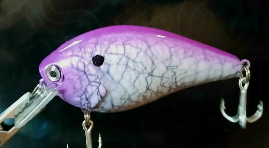 2.5 Purple Shad Crank