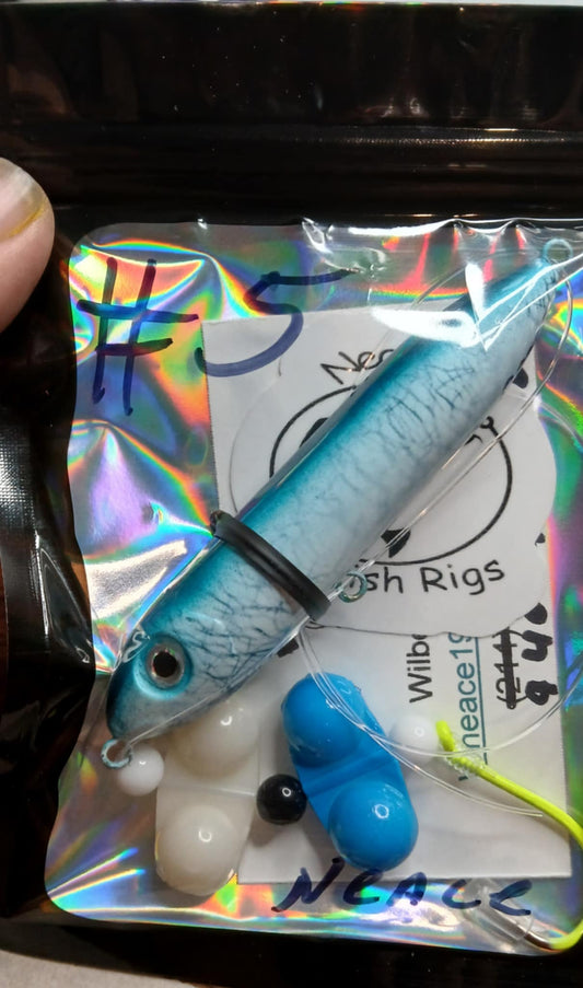 Catfish Rigs #5 Hook