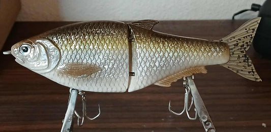 Gizzard Shad Glide