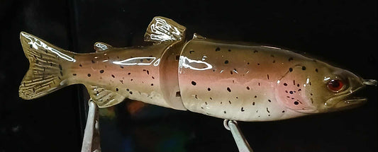 Rainbow Trout Glide
